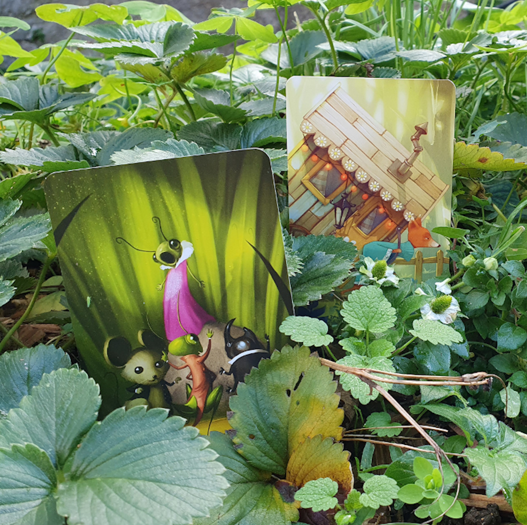 Dixit: 10. rozšíření - Mirrors - Obrázek 23