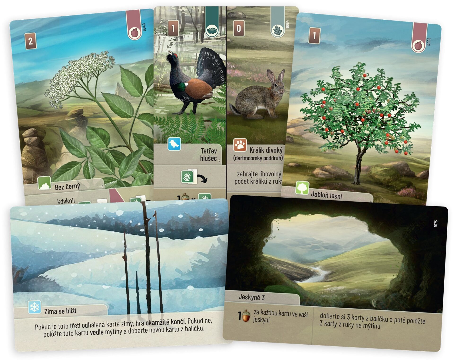 Smíšený les: Dartmoor - Obrázek 3